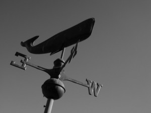 Wind Compass